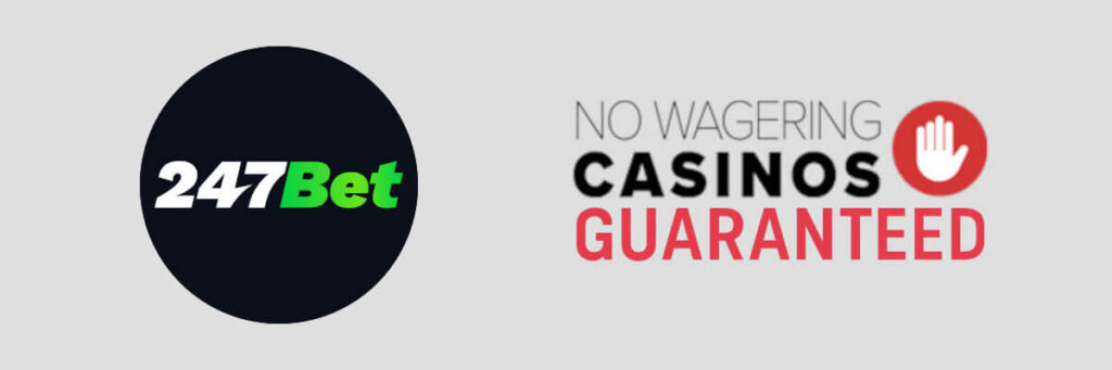 Popular no wager casino - 247Bet